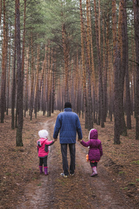 父亲和两个孩子在松树林里沿着马路散步。