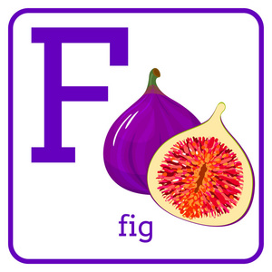 一个字母表与可爱的水果, 字母 f 无花果