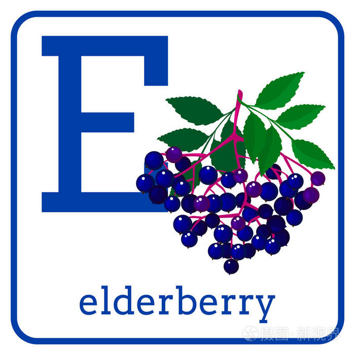 一个字母表与可爱的水果, 字母 e 树莓
