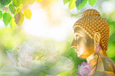 莲花或睡莲的双曝光和佛像的脸。佛教在中国很受欢迎，日本和泰国人民，所以泰国的许多文化都涉及佛教。