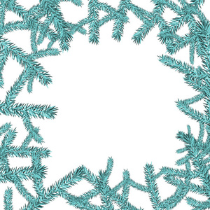 节日美丽的自然圣诞节框架与蓝色松树分支与针为新的一年查出在白色背景