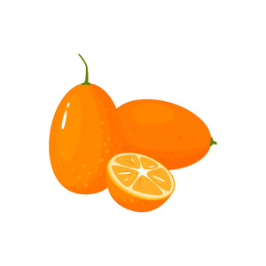 动画片新鲜 kumquat 查出在白色背景