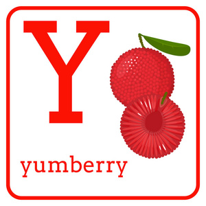 一个字母表与可爱的水果, 字母 y yumberry照片