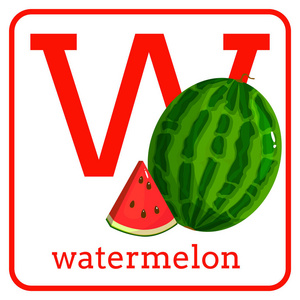 一个字母表与可爱的水果, 字母 w 西瓜