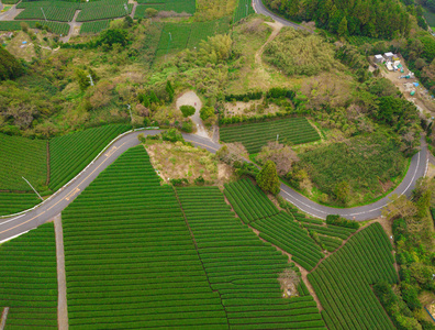 静冈秋季稻田鸟瞰图。 日本山区的绿色农村地区或农村土地。 自然景观背景