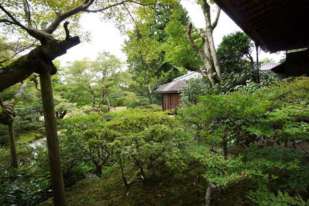 2015年9月6日京都秋日在京都的舒格库因皇家别墅或舒格库因。
