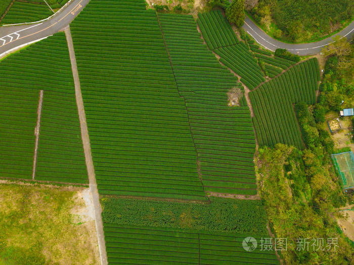 静冈秋季稻田鸟瞰图日本山区的绿色农村地区或农村土地自然景观背景