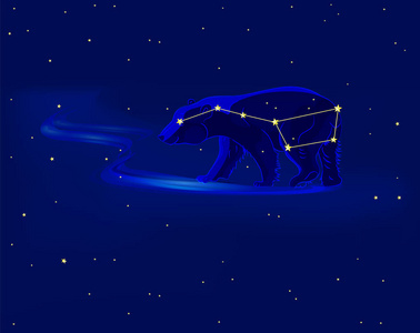 可爱的北极熊. 伟大的熊星. 带有星座的矢量插图.照片