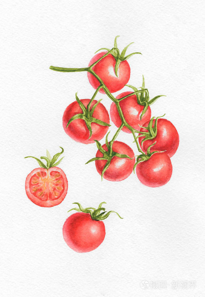 设置樱桃番茄水彩画