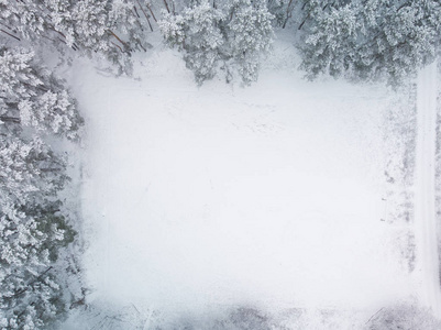 从上面可以看到白雪覆盖的冬景图片