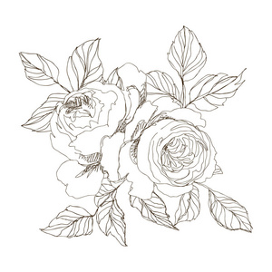 野生玫瑰花分枝在粉红色隔离。复古植物手绘插图。春天的花园花玫瑰, 狗玫瑰。矢量设计。可用于贺卡婚礼请柬图案
