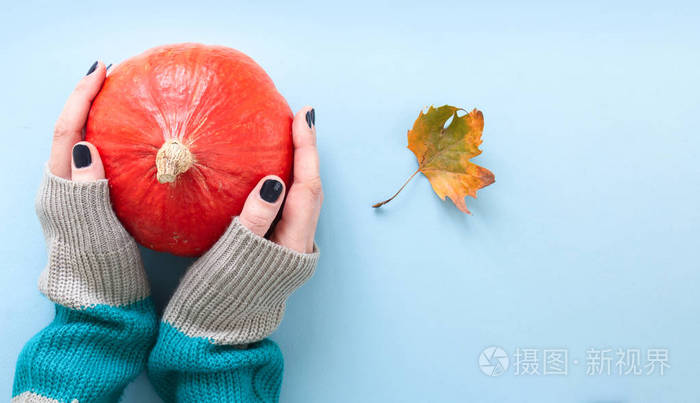 双手穿着长袖针织毛衣，抱着一个圆圆的橙色南瓜，秋叶和香料平躺在蓝色的背景上。