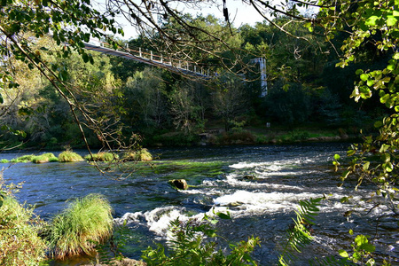 森林里的一条河上的桥。 秋天的颜色充满了植被水岩石和泡沫的溪流。 加利西亚西班牙。