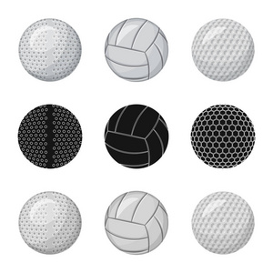 运动与球标的矢量设计。网络运动与体育股票符号集