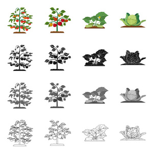 温室和植物符号的孤立对象。温室和庭院股票载体例证的汇集