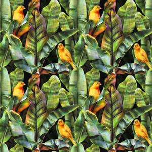 无缝图案与香蕉叶和黄色鸟类在黑暗的背景。热带背景织物，壁纸，纺织品。用彩色铅笔插图..