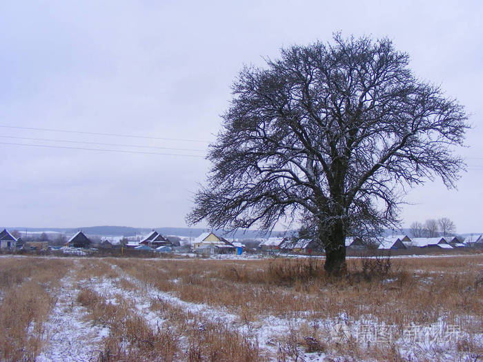 白雪皑皑村庄图片