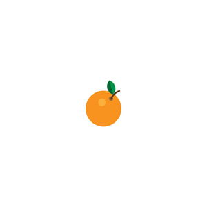 橙色水果平面图标。 在白色背景上隔离的矢量插图。