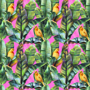 无缝图案与香蕉叶和黄色鸟类在粉红色背景。 热带背景流行艺术风格的织物壁纸纺织品。 用彩色铅笔插图。