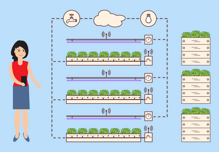 妇女控制着智能农场和农业。 温度湿度光水平的监测和控制。 种植植物。 新技术。 高产。