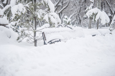 冬天雪中的长凳