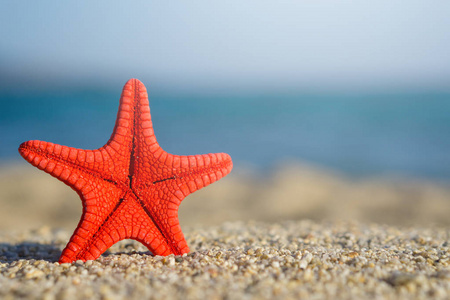 海滩上的沙子上钉着红色海星. 背景上的蓝海.照片