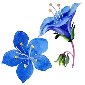 马可波罗花世界图片-马可波罗花世界素材-马可波罗花世界插画-摄图新