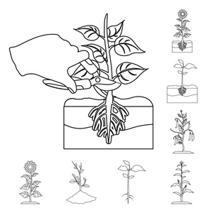 植物和大豆符号的孤立对象。收集网络的植物和工艺股票符号