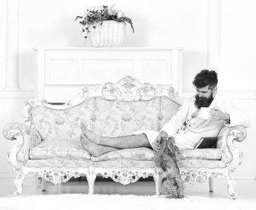 男子昏昏欲睡的浴衣喝咖啡在豪华酒店在早上, 白色的背景。胡子和胡须的男人喜欢早上坐在老式的沙发上玩宠物狗。宠物概念