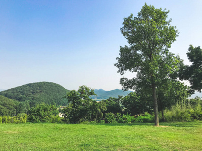 韩国夏季绿化景观.