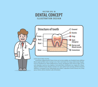 医生人物讲座，关于牙齿布局插图矢量在蓝色背景上的结构。 牙科概念。