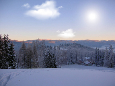 美丽的冬景，白雪覆盖的树木