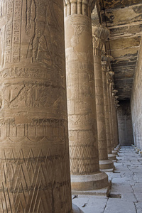 爱德福古埃及霍勒斯庙墙上和柱上的象形文字雕刻