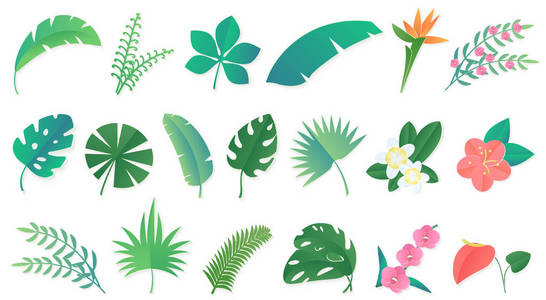 热带雨林树叶卡通热带雨林树叶和花卉的向量集照片