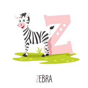 字母表字母z和斑马的矢量插图