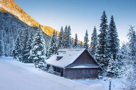 雪林中木结构房屋的冬季山水景观