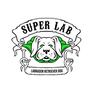 摩托车或自行车帮派风格的插图，超级黄色拉布拉多猎犬穿着绿色披风正面视图与丝带或滚动与文字超级实验室在孤立的背景复古风格。