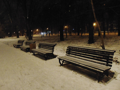 冬天的夜晚，在城市公园的木凳上下了很多雪