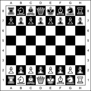 棋盘上棋子的矢量高质量图形表示