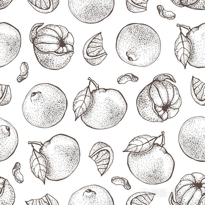 矢量无缝图案与油墨手绘柑橘类水果, 切片和树叶素描.