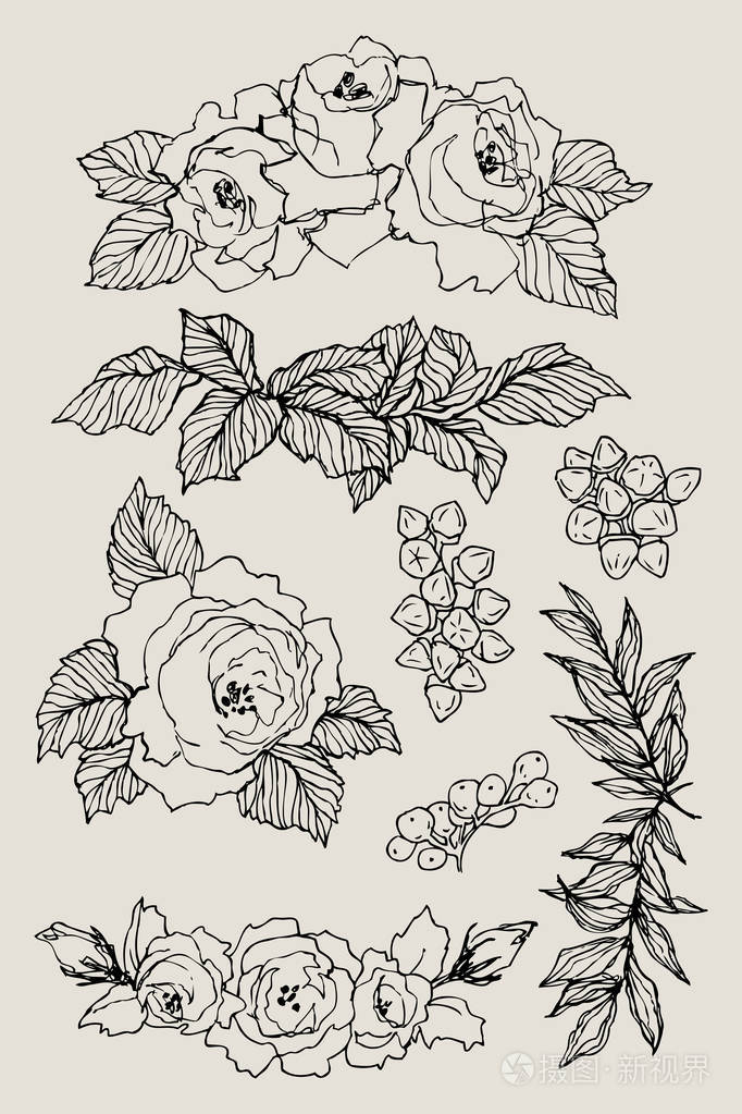 盛开的花朵设置集合手绘复古花枝在棕色背景向量例证玫瑰牡丹花叶可
