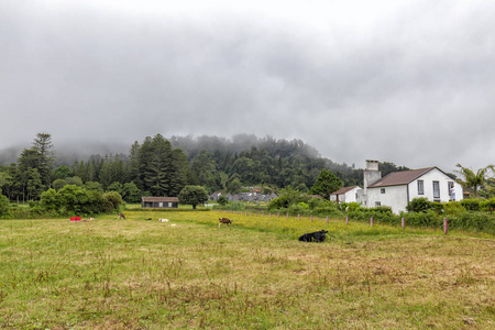 索米格尔岛典型的农村场景。