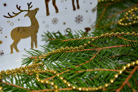 圣诞节和新年礼物deers杉树枝白色背景