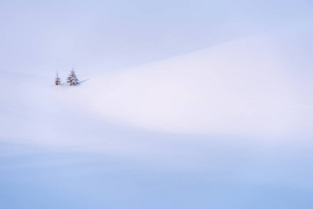 雪背景与复制空间的冬季设计。 雪地里的小树