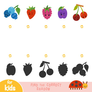 为孩子们找到正确的影子教育游戏. 一组浆果,有着滑稽的脸照片