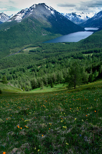 莫林斯科阿尔泰山湖