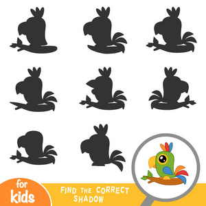 找到正确的儿童鹦鹉影子教育游戏