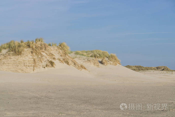 海滩上的沙丘