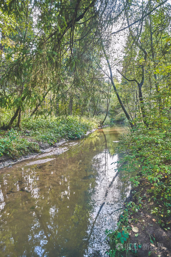 秋天森林里的一条小河照片-正版商用图片15dydw-摄图新视界