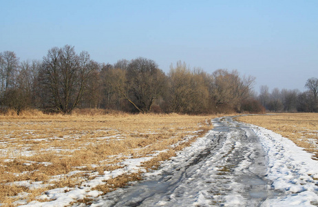 捷克共和国的狮子狗景观，在通往裸露森林的道路上下雪